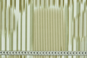 Popeline puro cotone a righe sfumate verde kaki