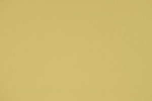 Lycra opaca morbida beige carne