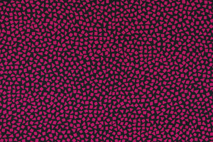 Cady leggero di seta nero e magenta