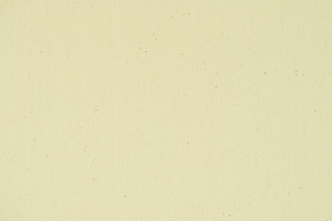 Denim selvedge  cotone stretch greggio h.102cm