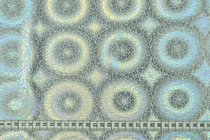 Lycra spalmata lucida a cerchi argento