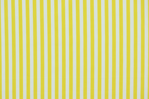 Popeline di puro cotone bianco stampa a righe gialle