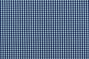 Twill leggero di cotone a quadretti bianco blu