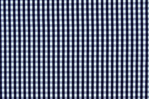 Misto cotone vichy bianco blu tinto filo