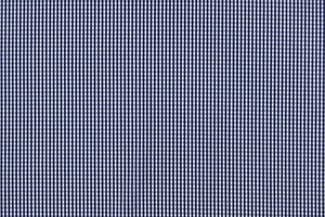 Cotone camiceria popeline cotone stretch a micro-quadri blu