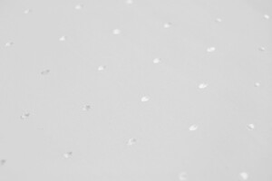 Popeline di puro cotone bianco a pois jacquard