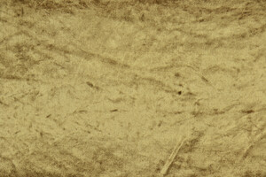 Velluto liscio di cotone stretch marrone lucido