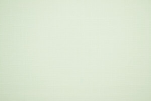 Panama di cotone bianco panna