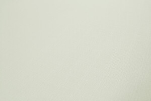 Panama di cotone bianco panna