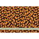 Crêpe jacquard maculato nero-arancione