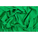 LYCRA LUCIDA VERDE