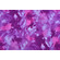 Lycra fantasia astratta malva e lilla