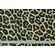 Georgette animalier leopardato