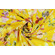 Georgette gialla a fiori