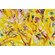 Georgette gialla a fiori