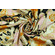 Raso stampa astratta beige e ambra