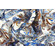 Popeline di cotone con fantasia paisley e floreale