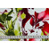 Mussola si cotone 100% con fantasia floreale pittorica