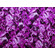 Jersey di poliestere stretch fantasia psichedelica viola e nero