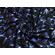 Jersey di poliestere stretch nero fantasia botanica neon