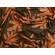 Lycra opaca marrone con palme