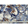 Popeline di cotone con fantasia paisley e floreale