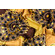Cotone wax marrone e giallo