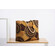 Cotone wax marrone e giallo